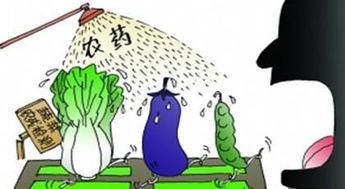 物理作用