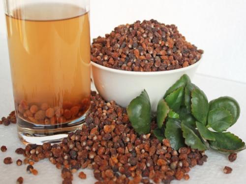 冬红花山茶油价格一览：泉州山茶油多少钱一斤？