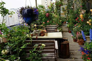 花园里的蓝色魔法