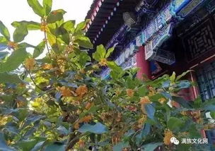 北方园林：皇家气派与宏伟壮丽