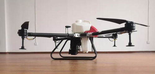 市场上的价格， 波动还挺大