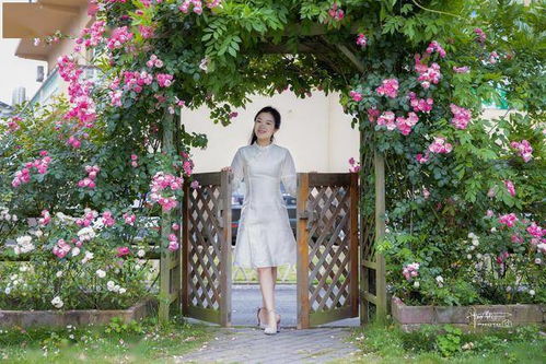 月季， 不仅仅是花