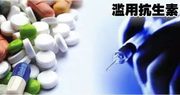 害虫抗药性的挑战