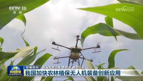空心泡种植技术，为何至今无人问津
