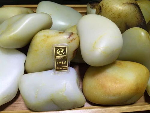 茶油鲜果与茶油渣饼：揭秘价格行情，选购指南！