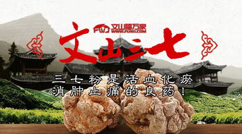 三七粉：神奇的活血化瘀良药？