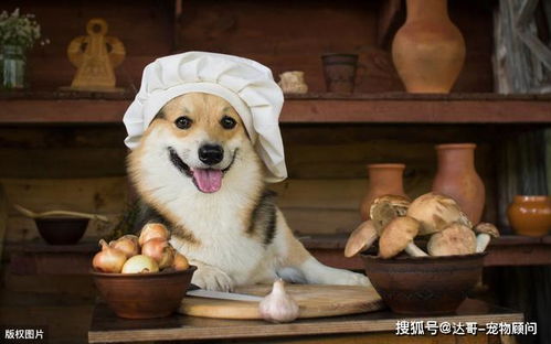 狗狗误食除草剂后会出现什么症状和紧急处理方法？