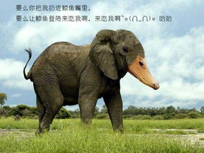 有哪些动物被认为有益，并且可以进入有益动物的十大排名呢