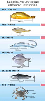 活体水产品运输方式优劣解析