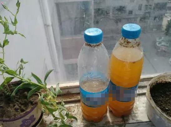 淘米水里的秘密