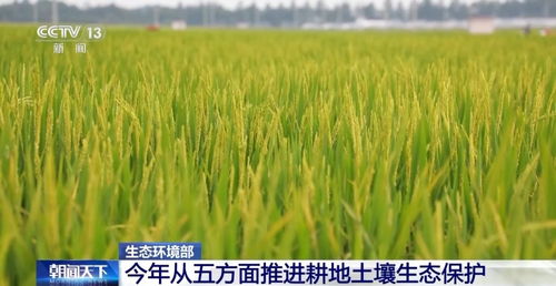 效果速度