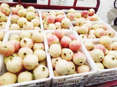 软籽石榴：一颗独特的石榴， 口感与特点揭秘