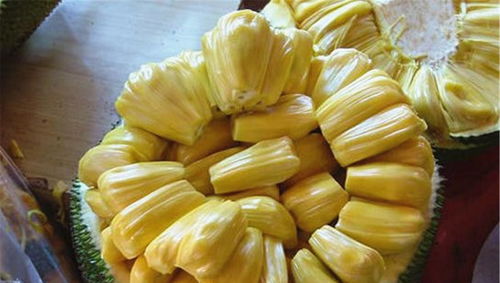 菠萝蜜是凉性还是热性？一篇文章揭秘