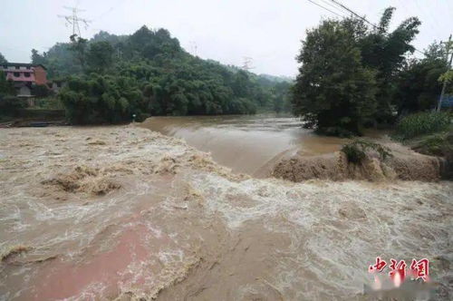 松柏浇水频率如何把握，才能既保证生长又避免过度浇水呢