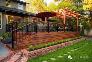 殿堂级月季， 谁才是城市家庭的“真爱”