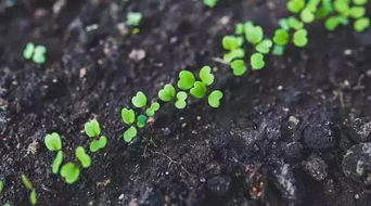 注意事项：别把好事办砸了