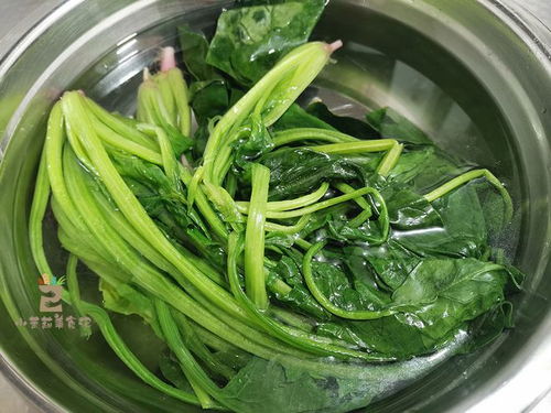 菠菜是否可以放入冰箱保存？
