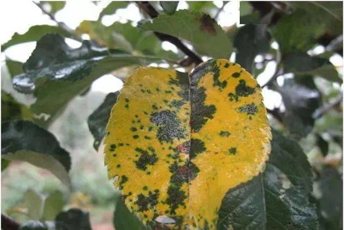 注意事项， 别忽略了