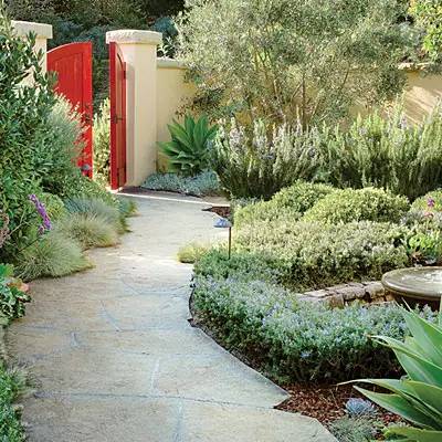 前院门面如何打造永不冷场的花卉组合？