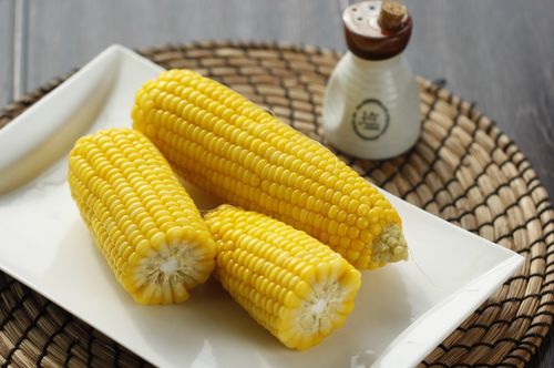 “飞行僵尸克星是什么植物？这几种植物很有效