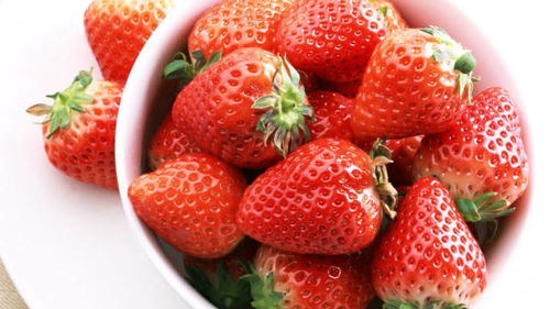 网友热议：草莓不开花原因何在？