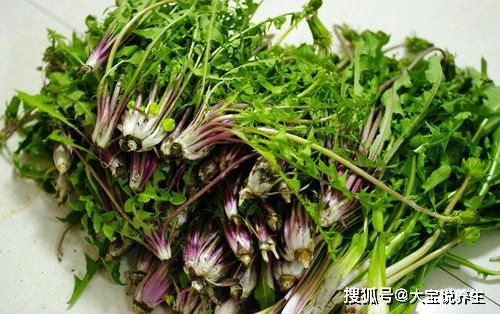 菜椒功效有哪些？听听专家怎么说