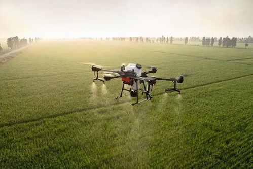 一、起飞那些事儿