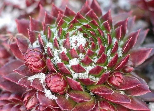 方法二：喷水冲洗