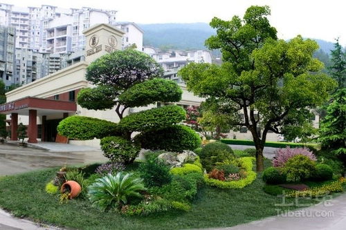 公园里的花花世界