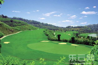 高尔夫球场草种的特殊性揭秘