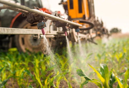 露水的干涸， 农药的施展