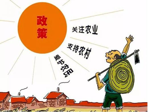 邯郸老刘家的分家风波