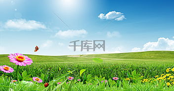 公益林：大自然的绿色守护者