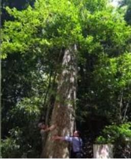 种子选择与处理