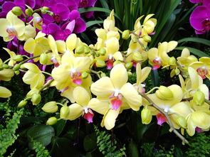 浇水，那是一门艺术