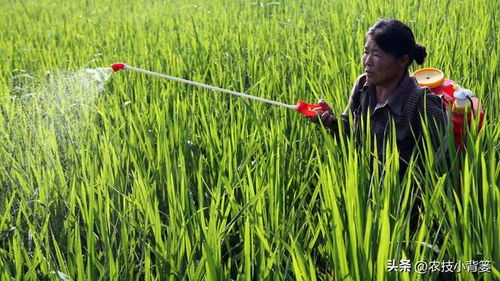 十九、 建议用药