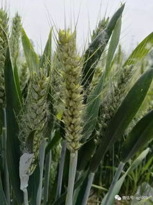 那啥，时间是个啥？