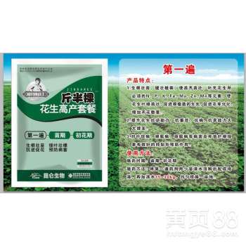 花生控旺，到底打几遍药水？