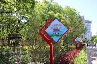 1. 绿化率的重要性