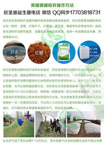 青贮饲料制作与原料含糖量密切相关