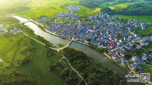 揭秘峡江茶油价格：高黎贡山茶油市场行情速览