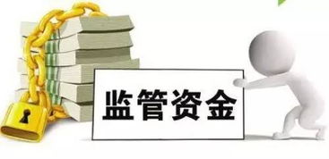 油茶林创业机遇：500万元扶持资金等你来领