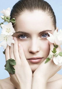 白睡莲：肌肤的神奇守护者