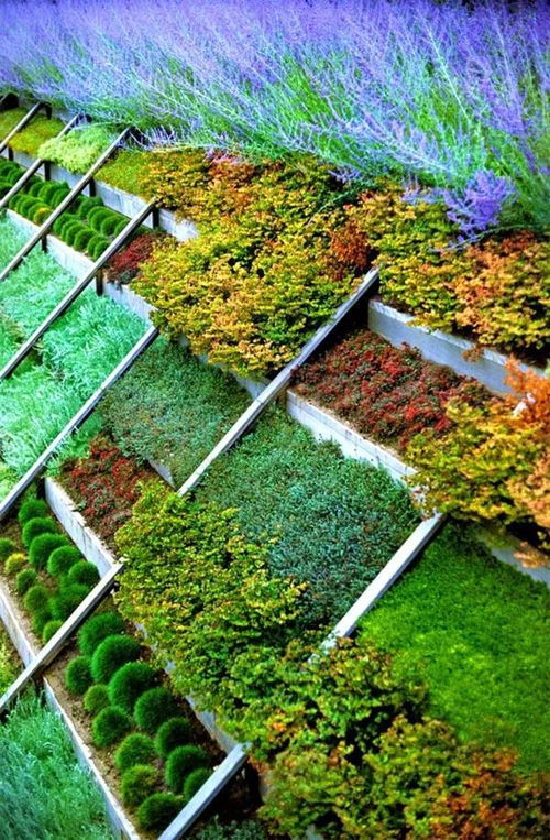 庭院与乡村的美丽融合