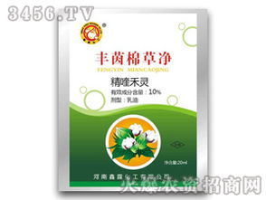 棉花成长与除草剂的小秘密