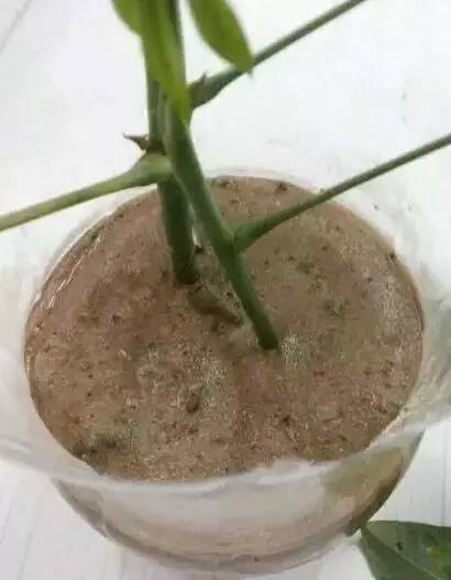 还有一些其他的小技巧