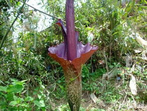 生物增效， 产量翻番