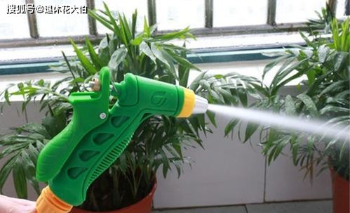 缓苗时间，不固定