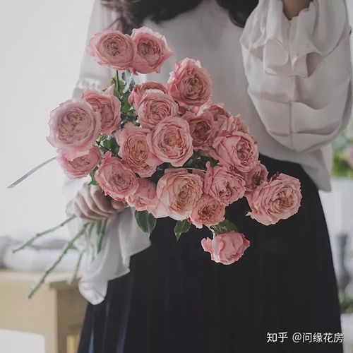 送玫瑰花有讲究？数量和颜色各有什么寓意