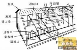 猪舍建造关键技术：环保节能与结构稳固